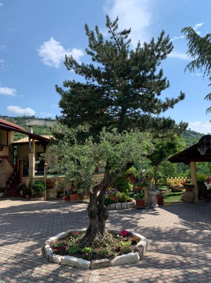 Appartement Le Ceppete à Palombaro Extérieur photo
